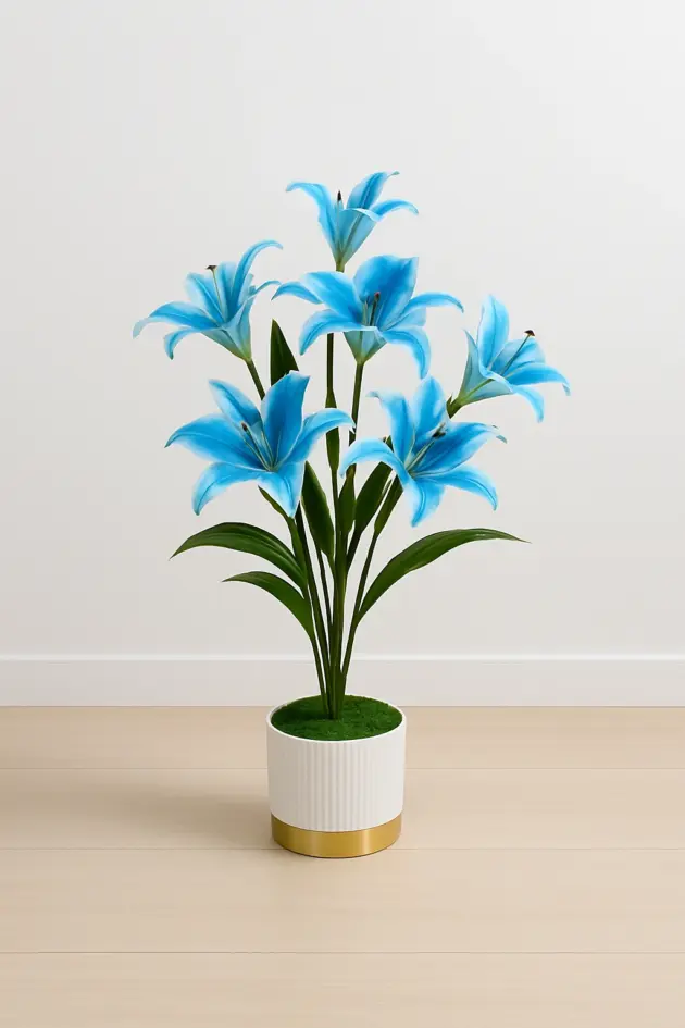 Blue Lily